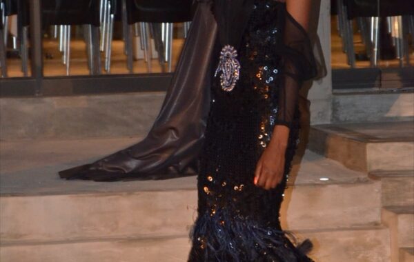 HospiceWits Night of the Stars Fashion Show 2013