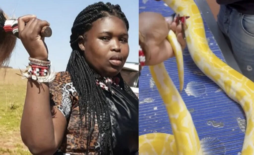 Gogo Maweni’s Snake Is Not Well