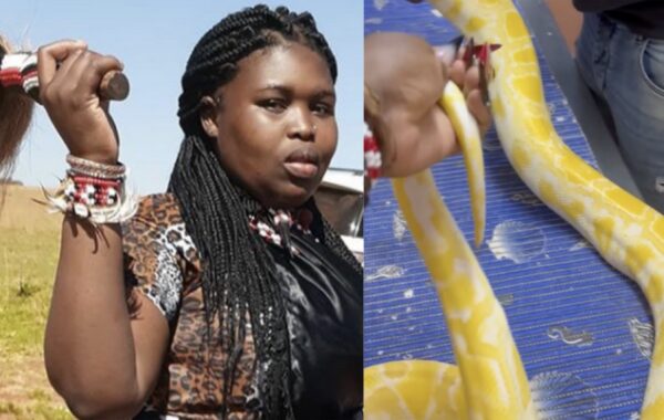 Gogo Maweni’s Snake Is Not Well