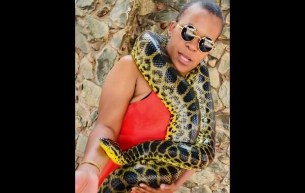 South African Celebs Who Own Snakes