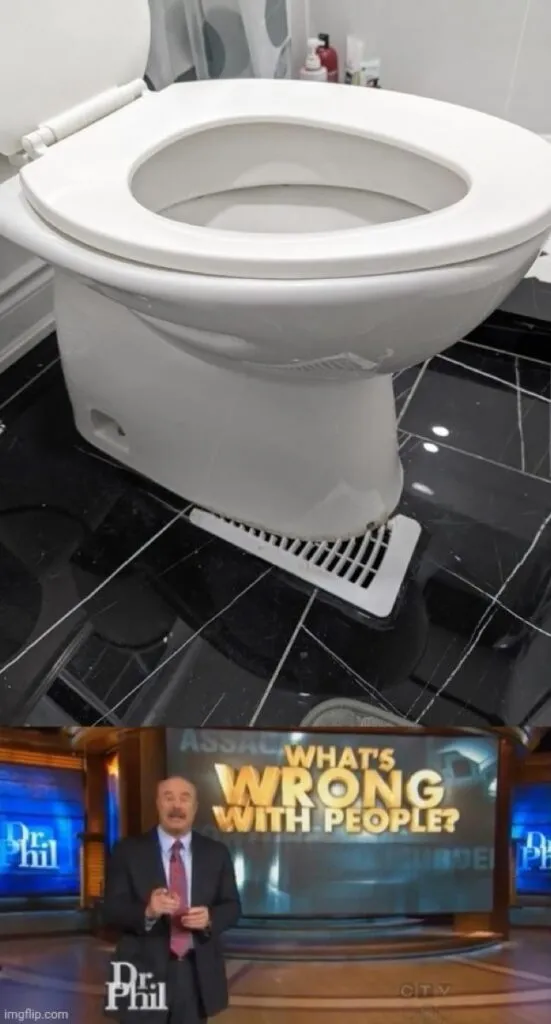 Wrong toilet side