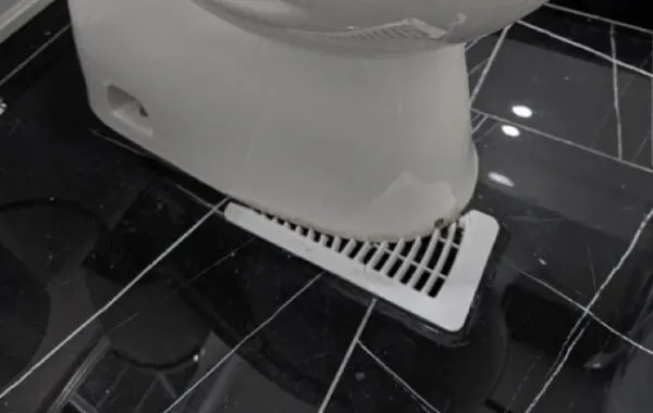 Wrong toilet side