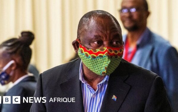 ZAlebs React To Cyril Ramaphosa’s Coronavirus Address