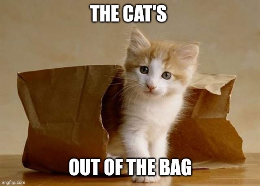 Kayise: The Cat Is Out Of The Bag!