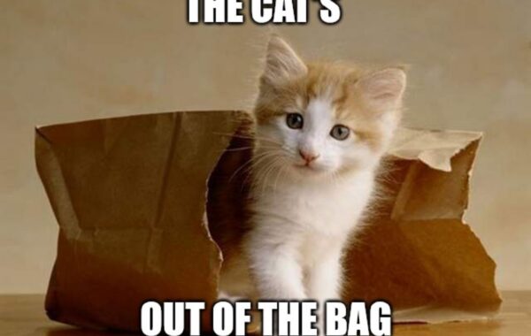 Kayise: The Cat Is Out Of The Bag!