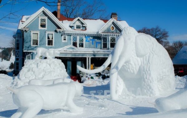 Winter Sculptures Fair