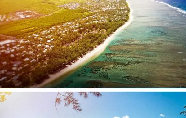 ZAlebs visits the Reunion Island