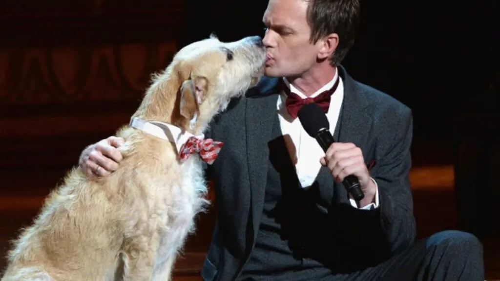 Tony Awards 2013