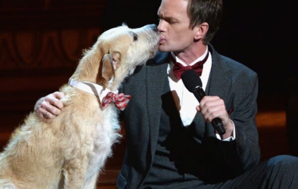 Tony Awards 2013