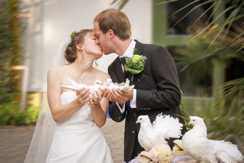 What’s Hot: Doves and gross kisses… Our Perfect Wedding