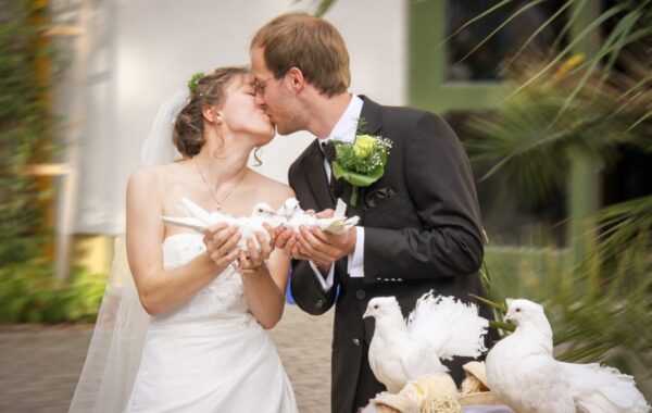 What’s Hot: Doves and gross kisses… Our Perfect Wedding