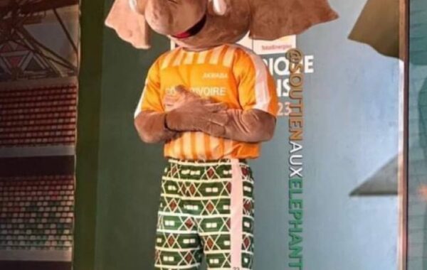 Afcon Mascot To Be Used In All SA sport