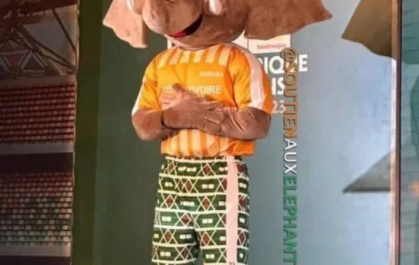 Afcon Mascot To Be Used In All SA sport