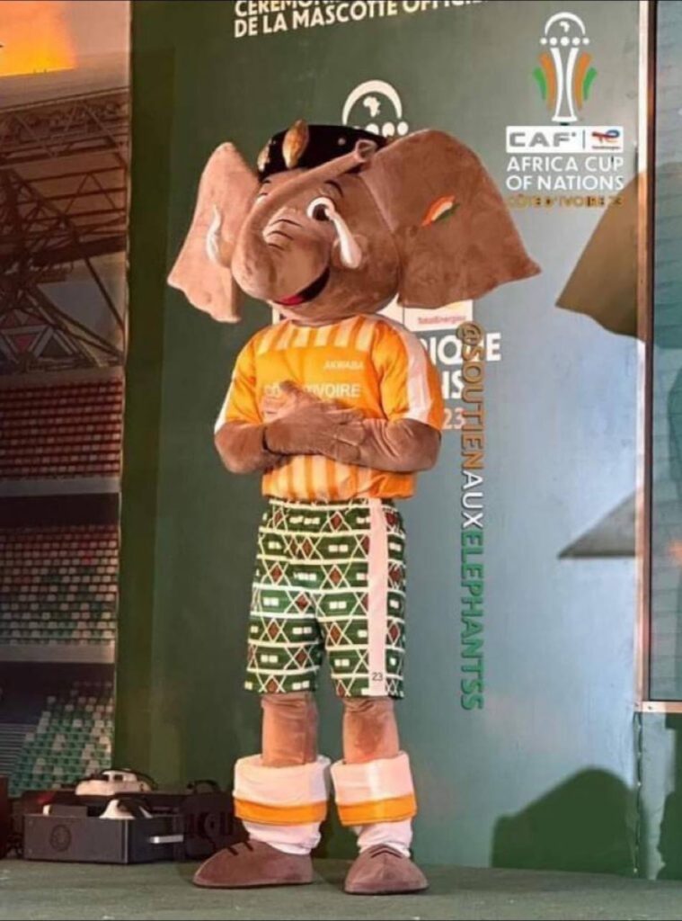 Afcon Mascot To Be Used In All SA sport