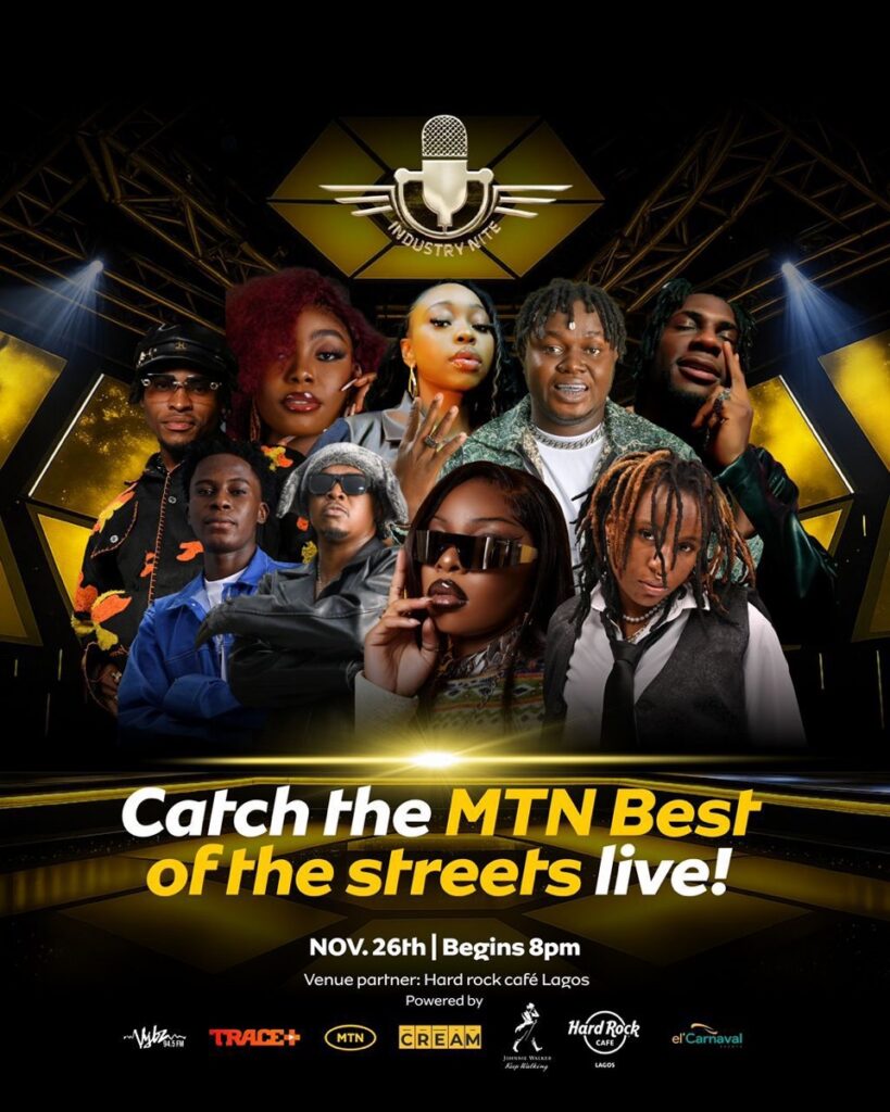 The best of the MTN Festival
