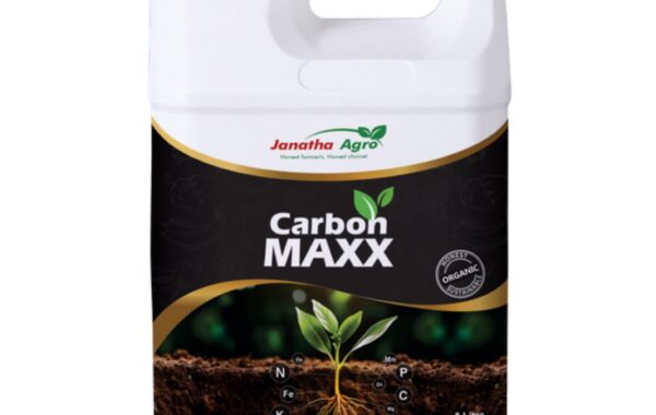 Jmaxx back on SA soil