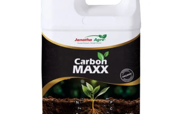 Jmaxx back on SA soil