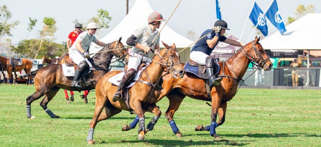 Standard Bank Polo in the Park