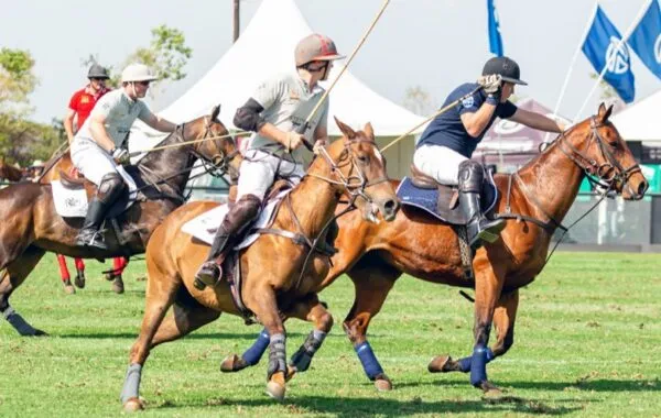 Standard Bank Polo in the Park