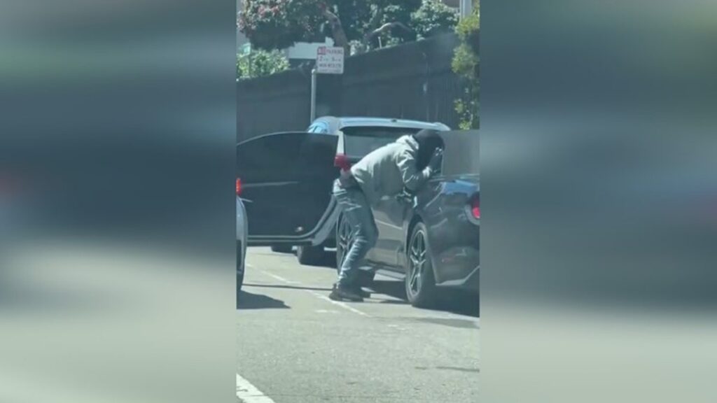 Traumatised Nina Hastie Sells Her Car After Thugs Try To Steal It