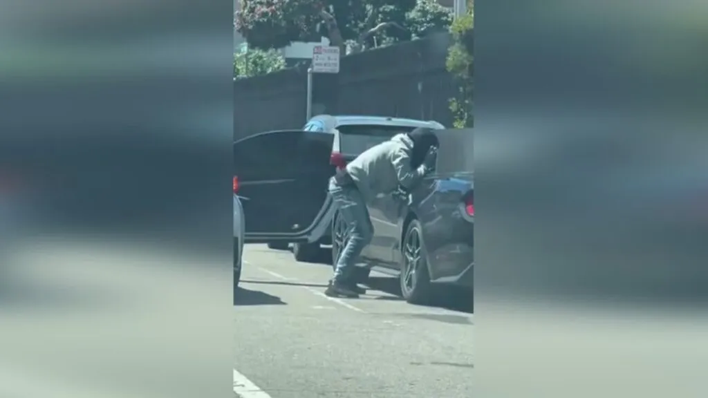 Traumatised Nina Hastie Sells Her Car After Thugs Try To Steal It