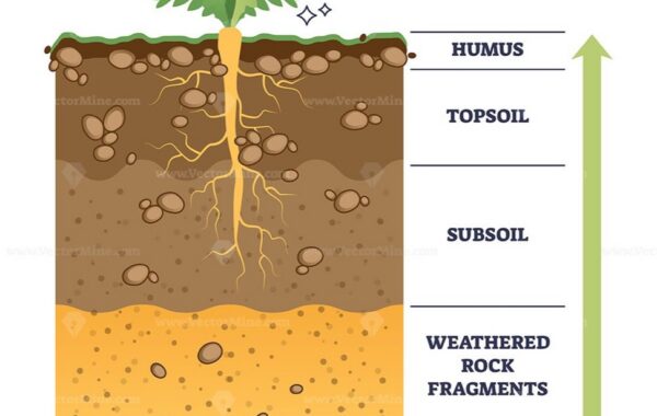 The Soil