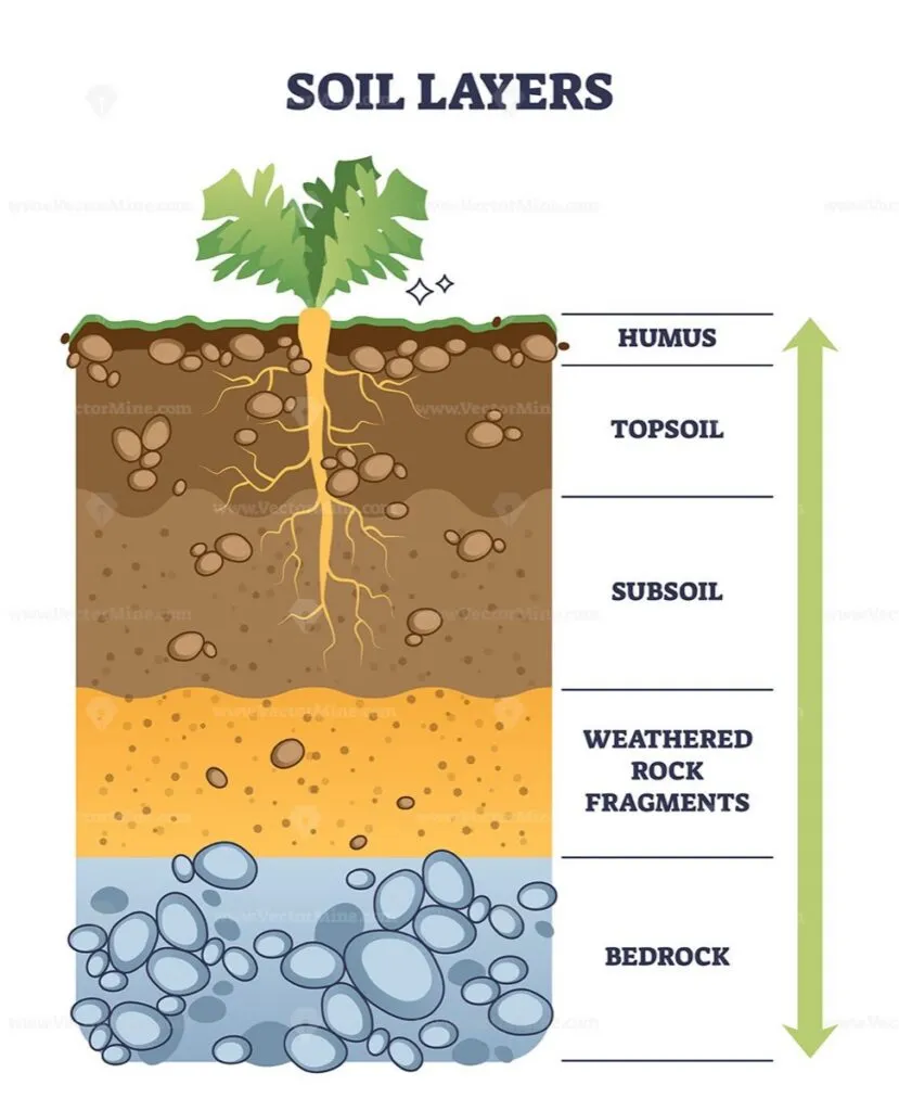 The Soil