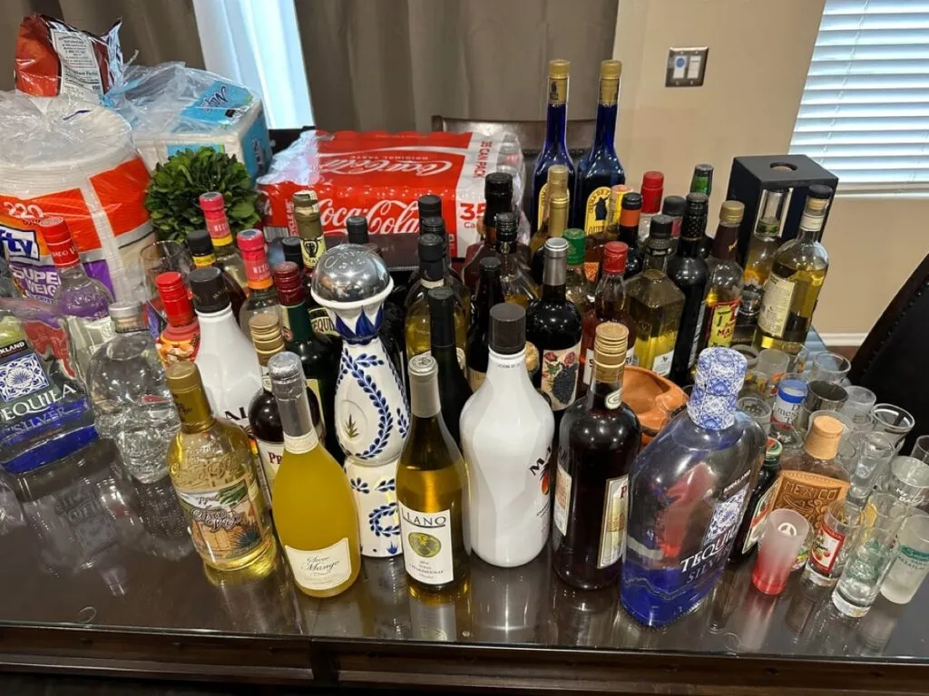 Reviews: #DateMyFamily: Alcohol ruined everything