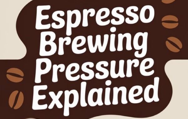Why we love Expresso’s Pubern