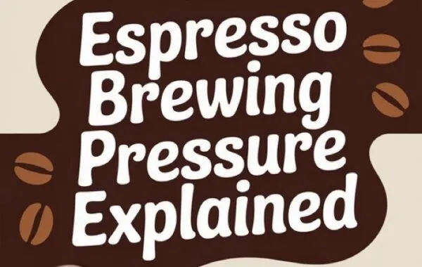 Why we love Expresso’s Pubern
