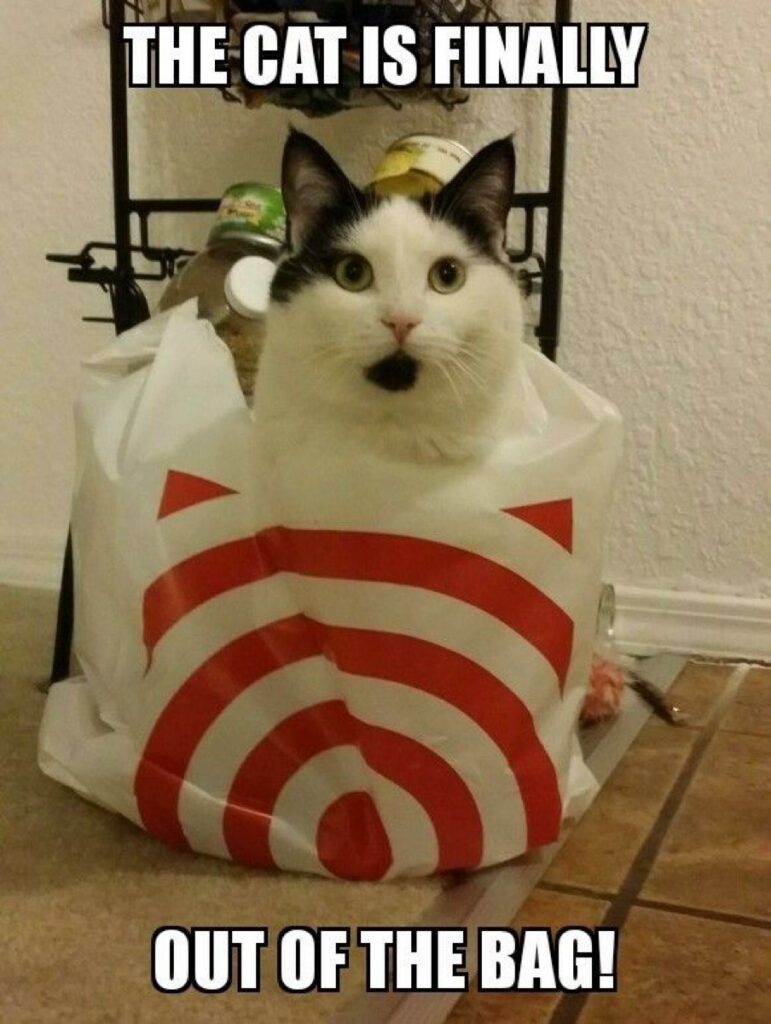 The Cat Is Finally Out Of The Bag
