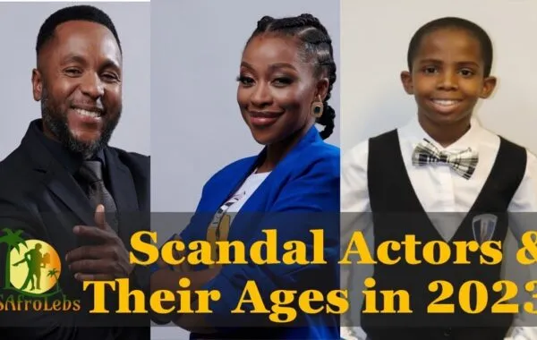 Meet The New Family On Scandal
