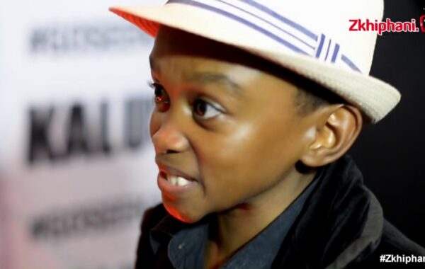 Celebrities attend the Kalushi movie premiere
