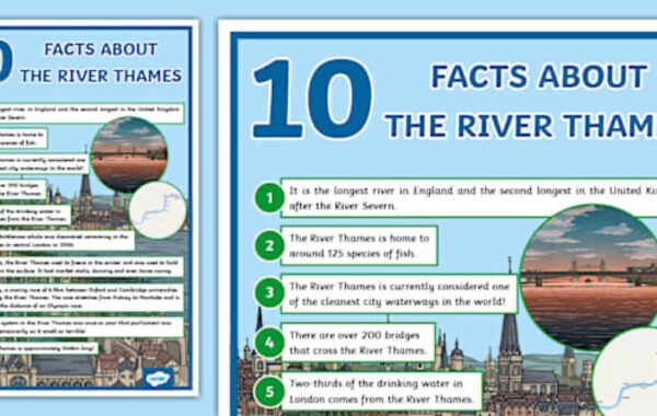 7 Interesting Facts About Beauty From The River