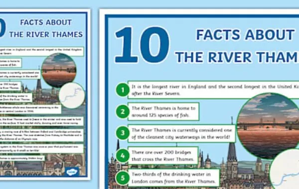 7 Interesting Facts About Beauty From The River