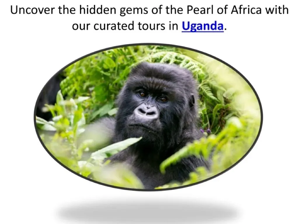 Hidden Gem’s From The Pearl Of Africa