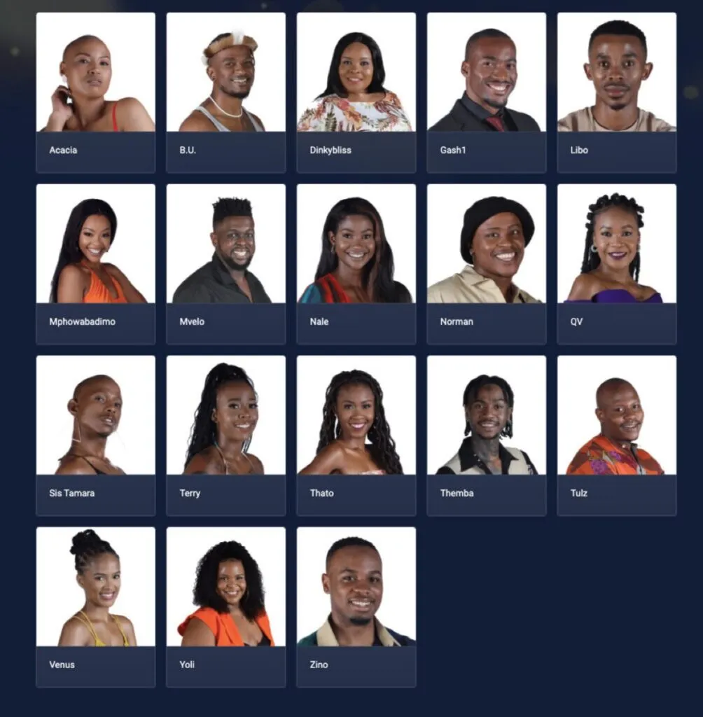 Meet the Big Brother Mzansi housemates