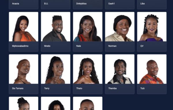 Meet the Big Brother Mzansi housemates