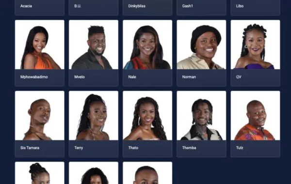 Meet the Big Brother Mzansi housemates