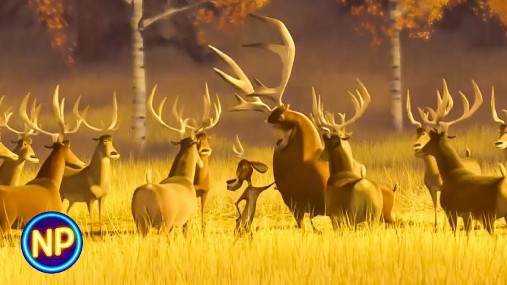 Season 2 Of The Herd Underway