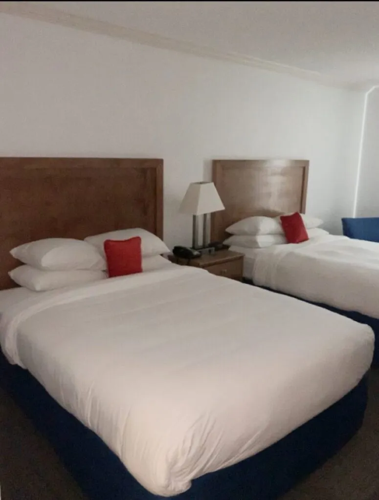 Hotel files for liquidation of ZAR