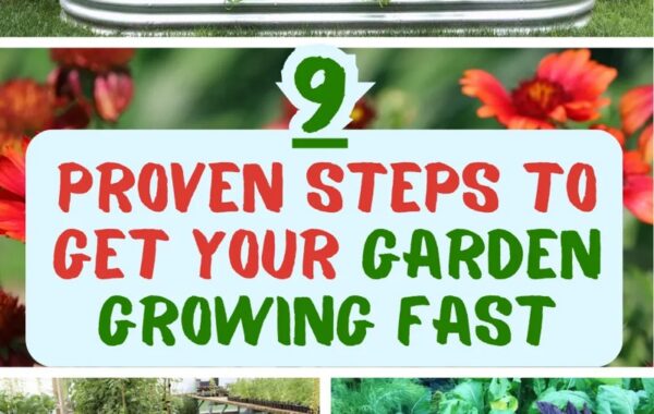 Get Into Your Garden, And Make A Difference