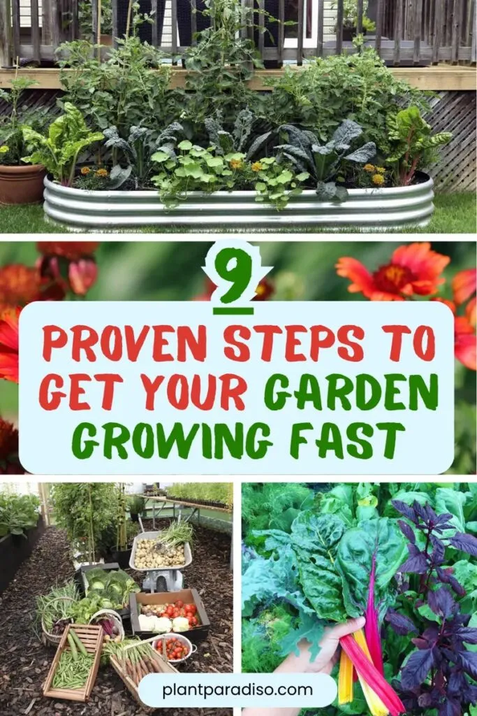 Get Into Your Garden, And Make A Difference