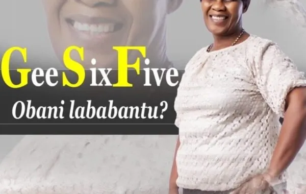 All You Need To Know About Gee Six Five