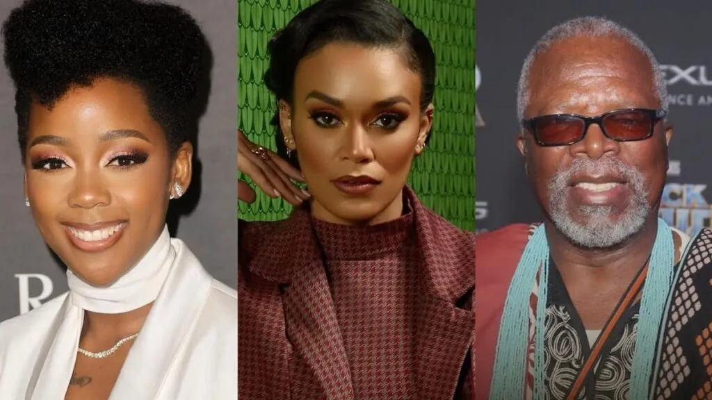 SA actors that scored roles in international movies
